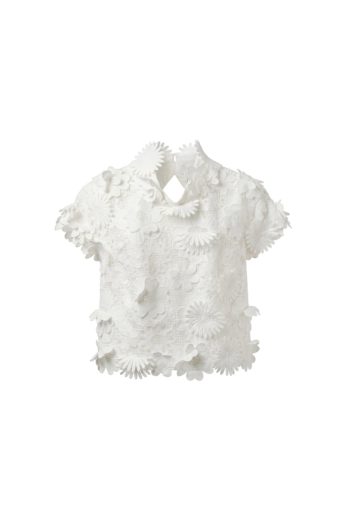Fiorella Jardin Lace Top